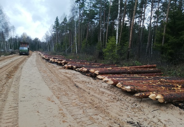 LVM uses innovative solutions for forest road construction