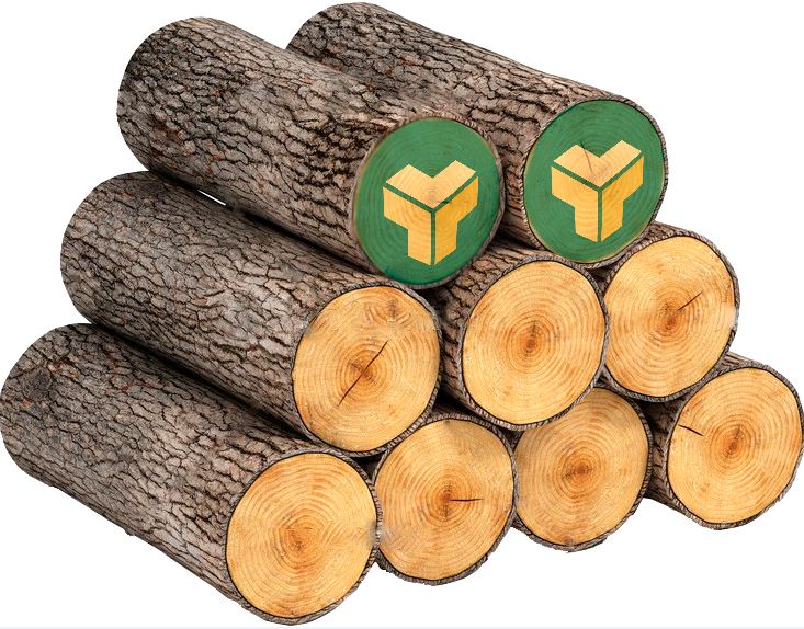 В январе-мае 2020 г. объем реализации круглого леса на Белорусской товарной бирже вырос на 8%