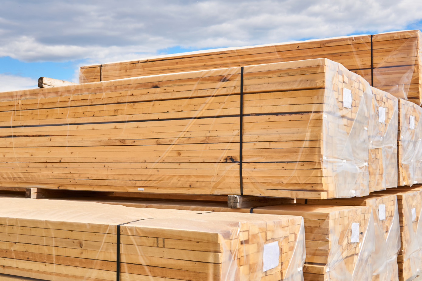 China"s imports of softwood lumber fall 25% in June