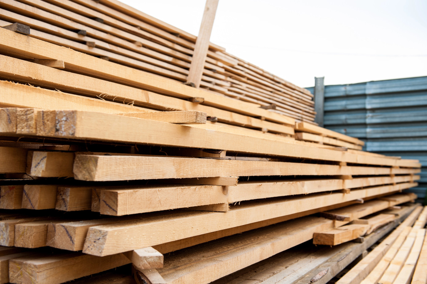 Japanese cypress lumber price in Japan falls 12% in February 2025