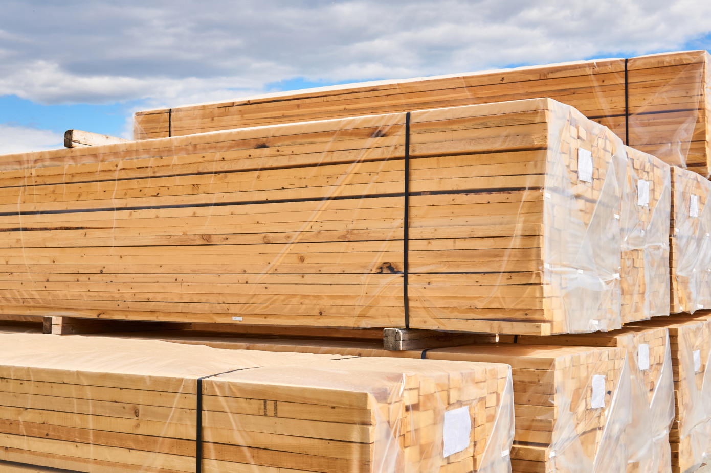Canada and Sweden sharply boost softwood lumber exports to Japan in H1 2024