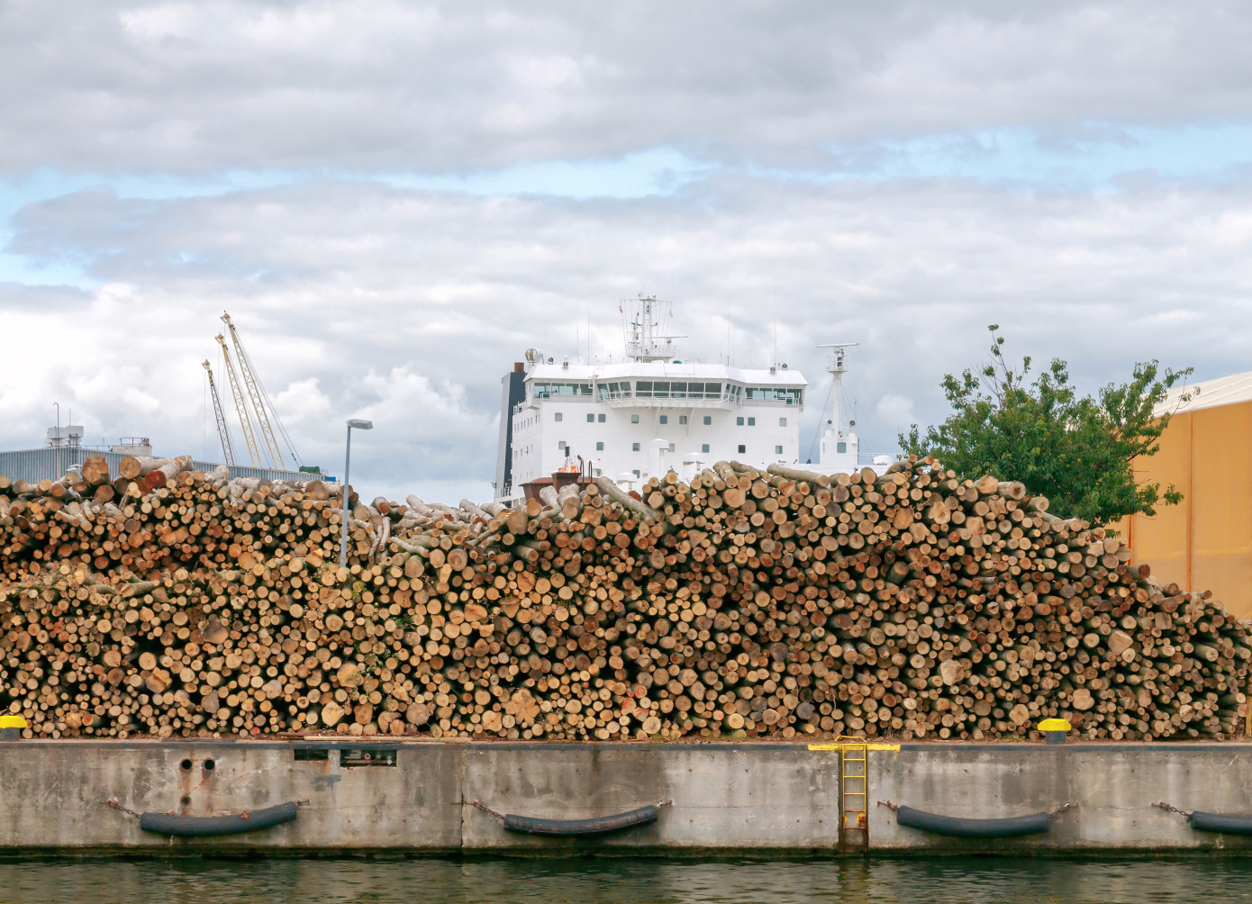 China log inventory high as demand slows in July