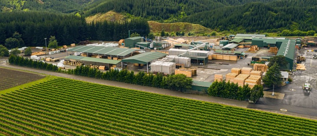 OneFortyOne инвестирует $11 млн в развитие лесопильного комбината в Новой Зеландии