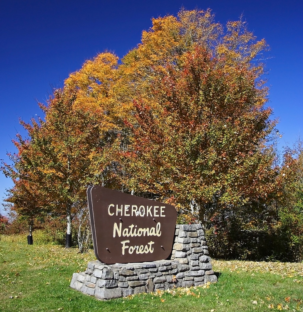 Mike Wright leads Cherokee National Forest