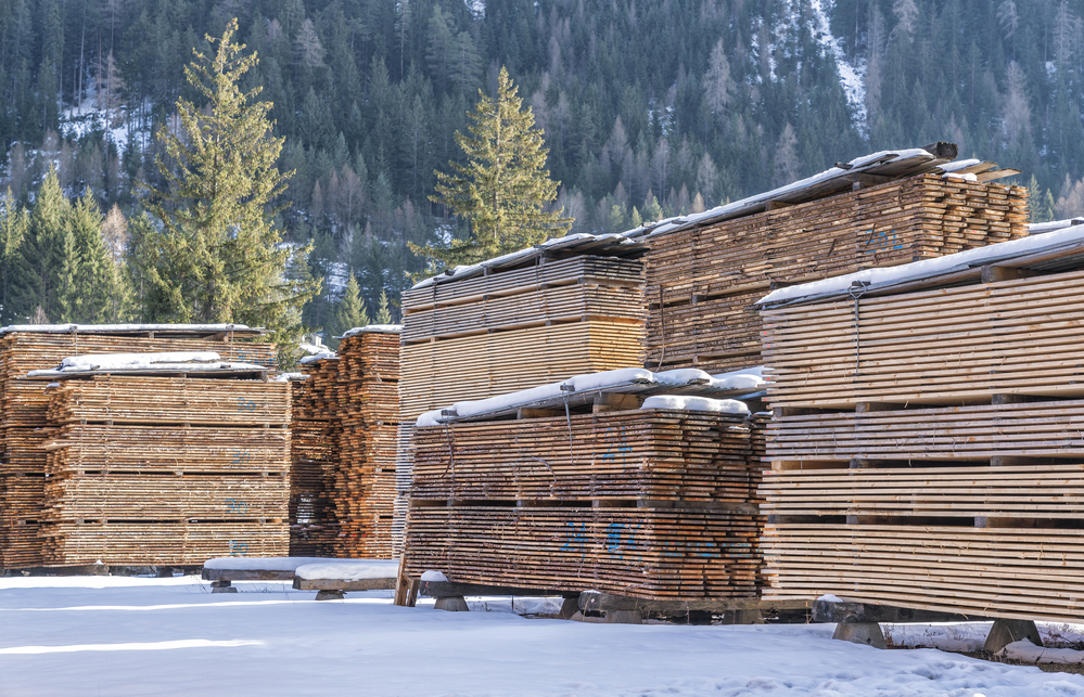 North American softwood lumber prices keep going up