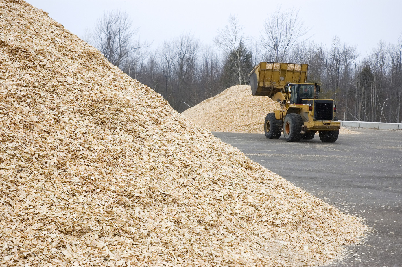 Global wood chip trade increased by 50% in 2009-2020
