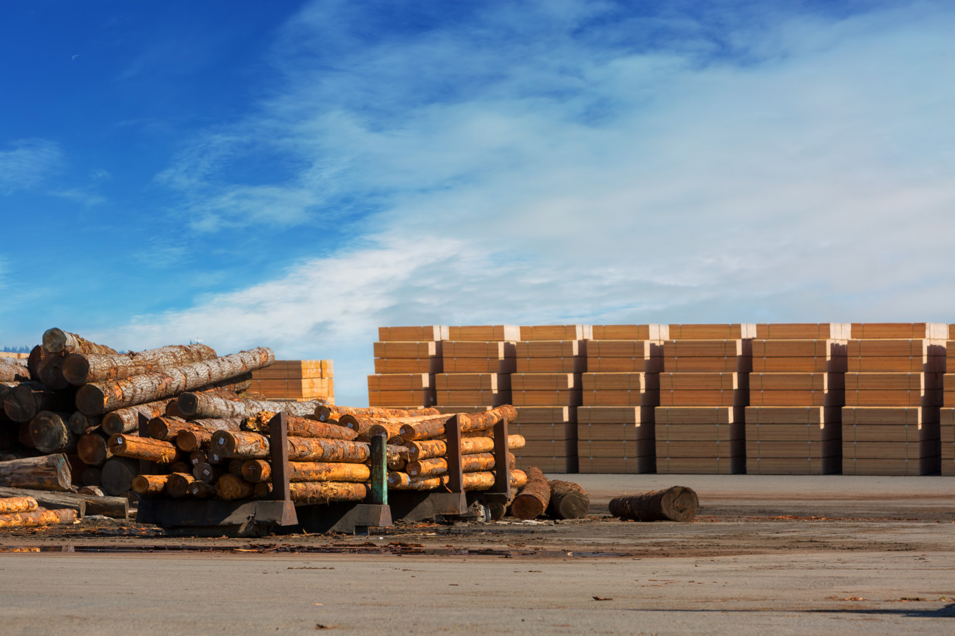 North American plywood prices surge while most softwood lumber prices moderate