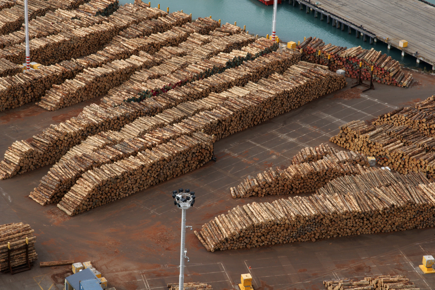 Russian exports sawlog price increase 13.3% in July 2021