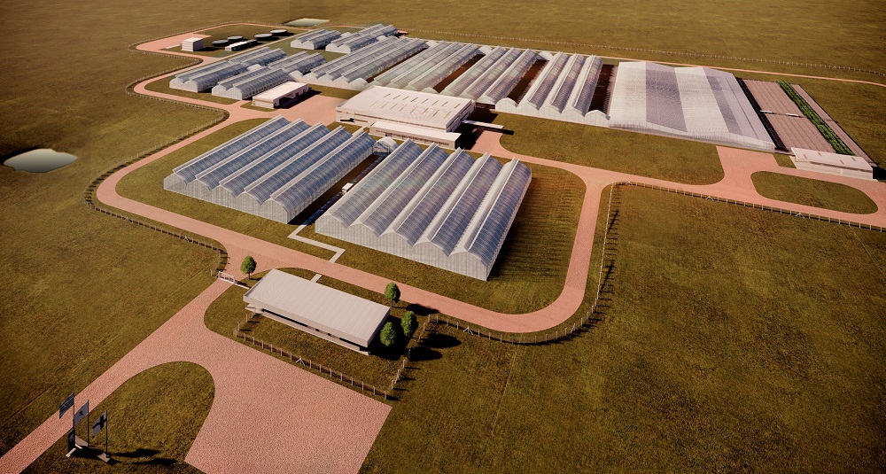 UPM begins construction of new nursery in Central Uruguay