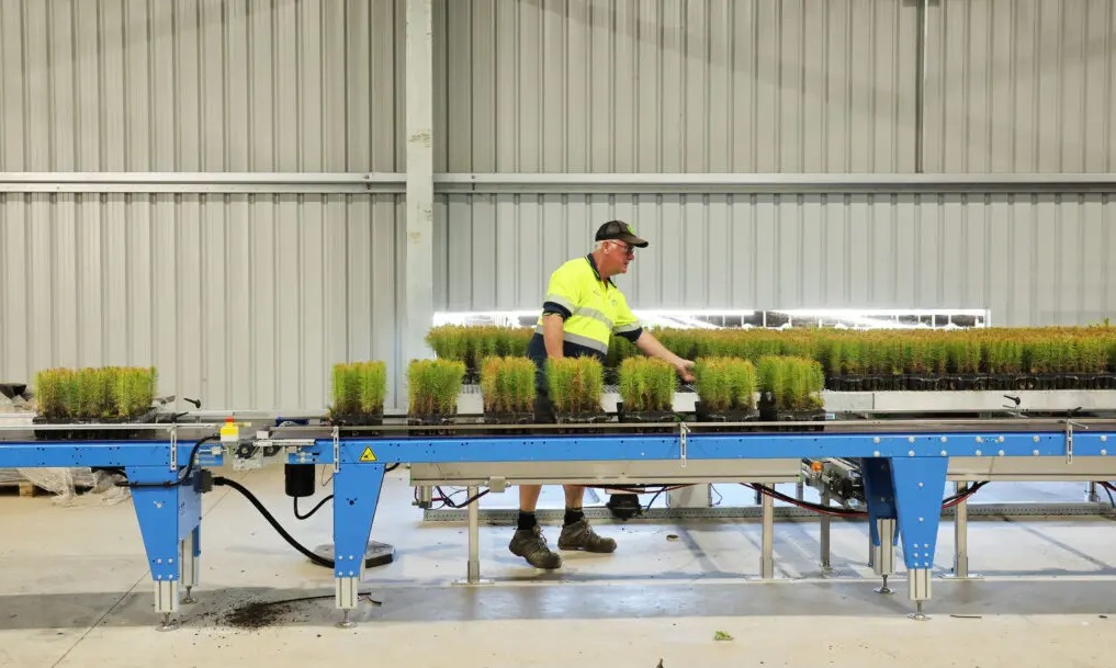 OneFortyOne wrapped up its annual planting season