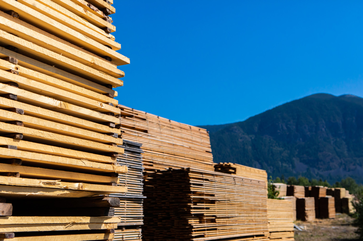 Canadian wood products sales up 8.5% in February