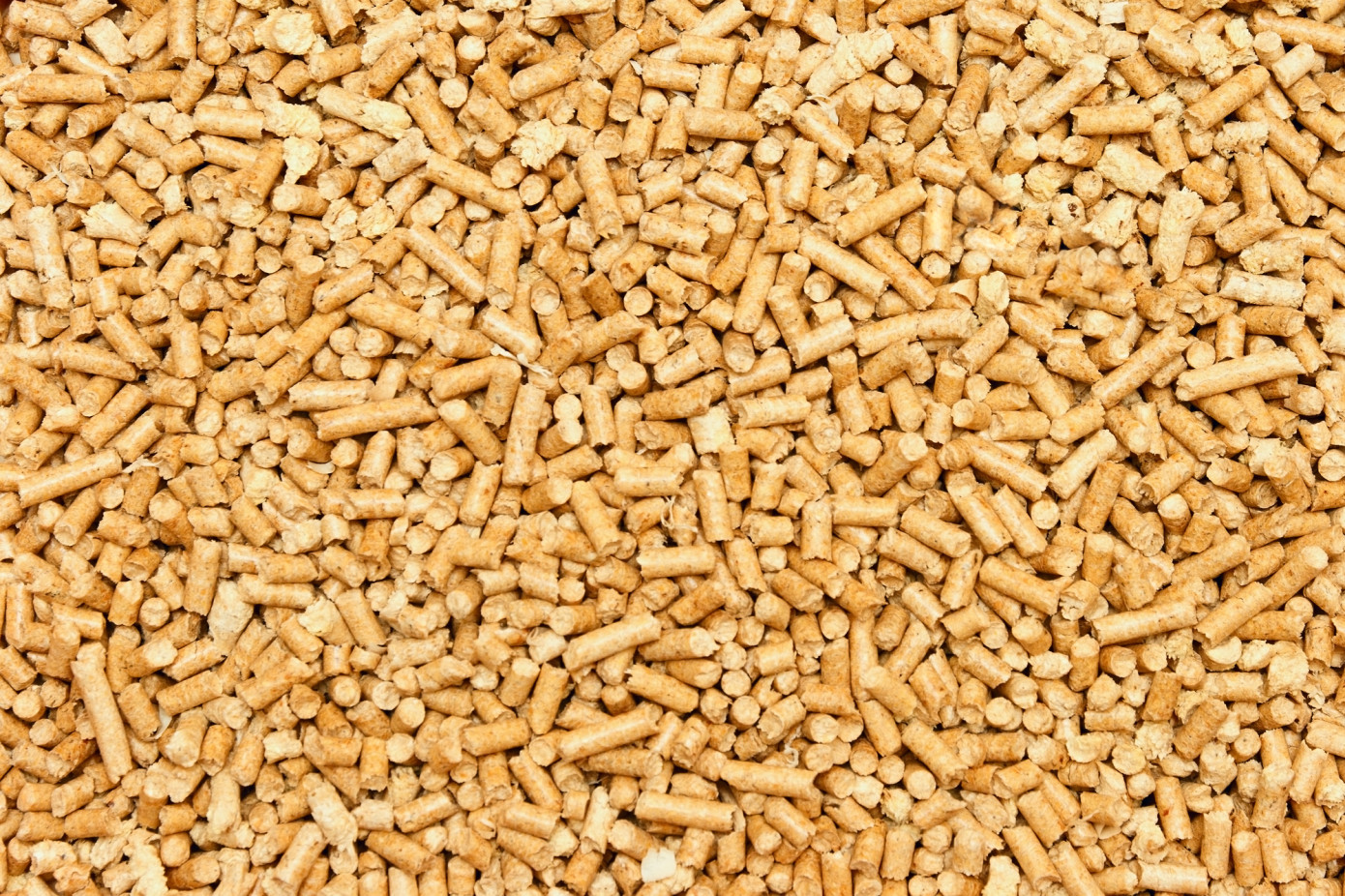 In March, price for wood pellets exported from Vietnam to South Korea gains 3%
