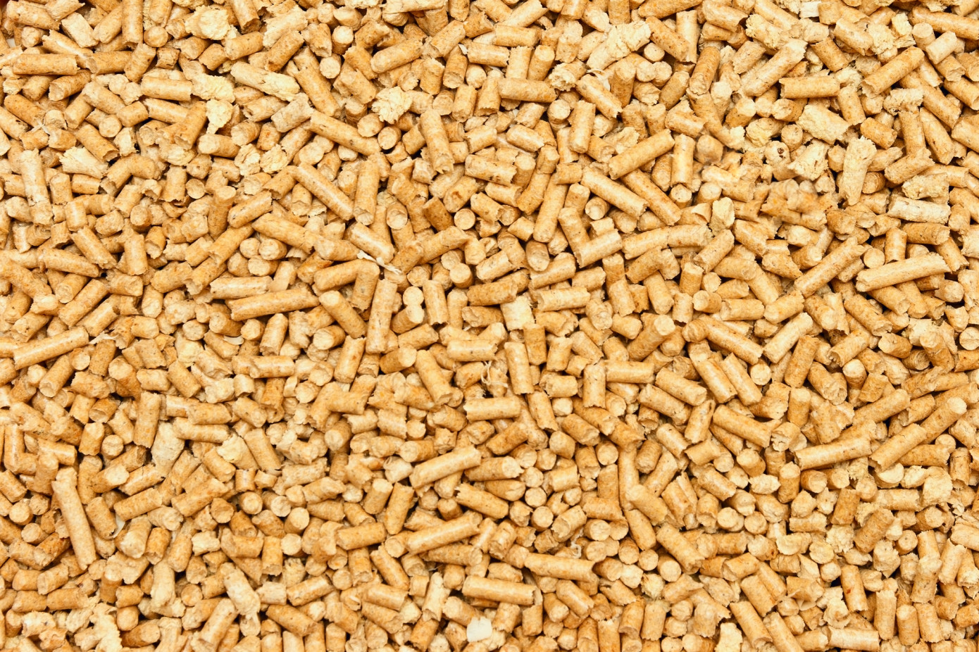 Exports of wood pellets from Canada decrease 37% in May