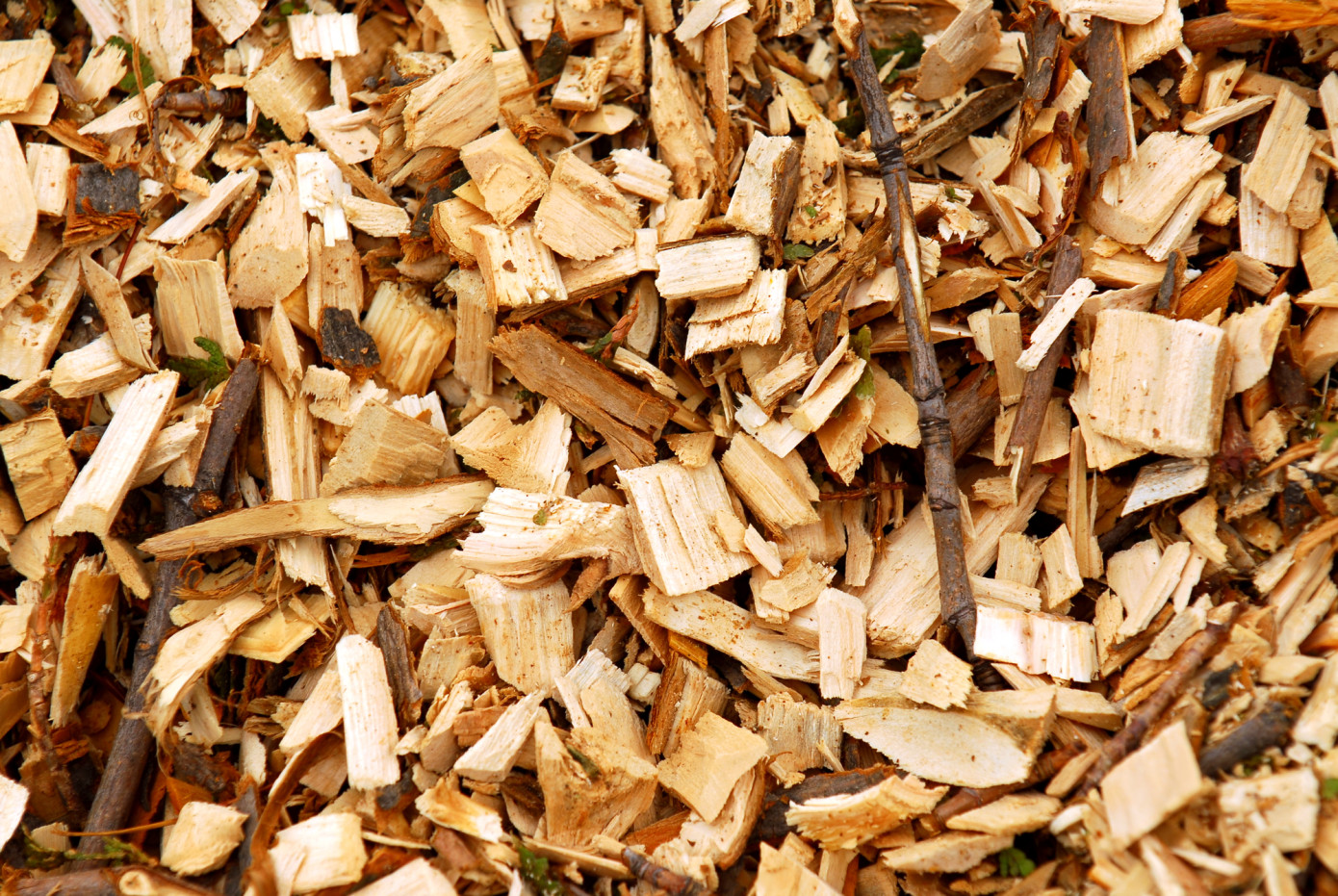 In July, price for imported wood chips in Japan increased 4.2%