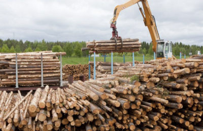 В 2019 г. потребление круглого леса в Финляндии снизилось на 3%
