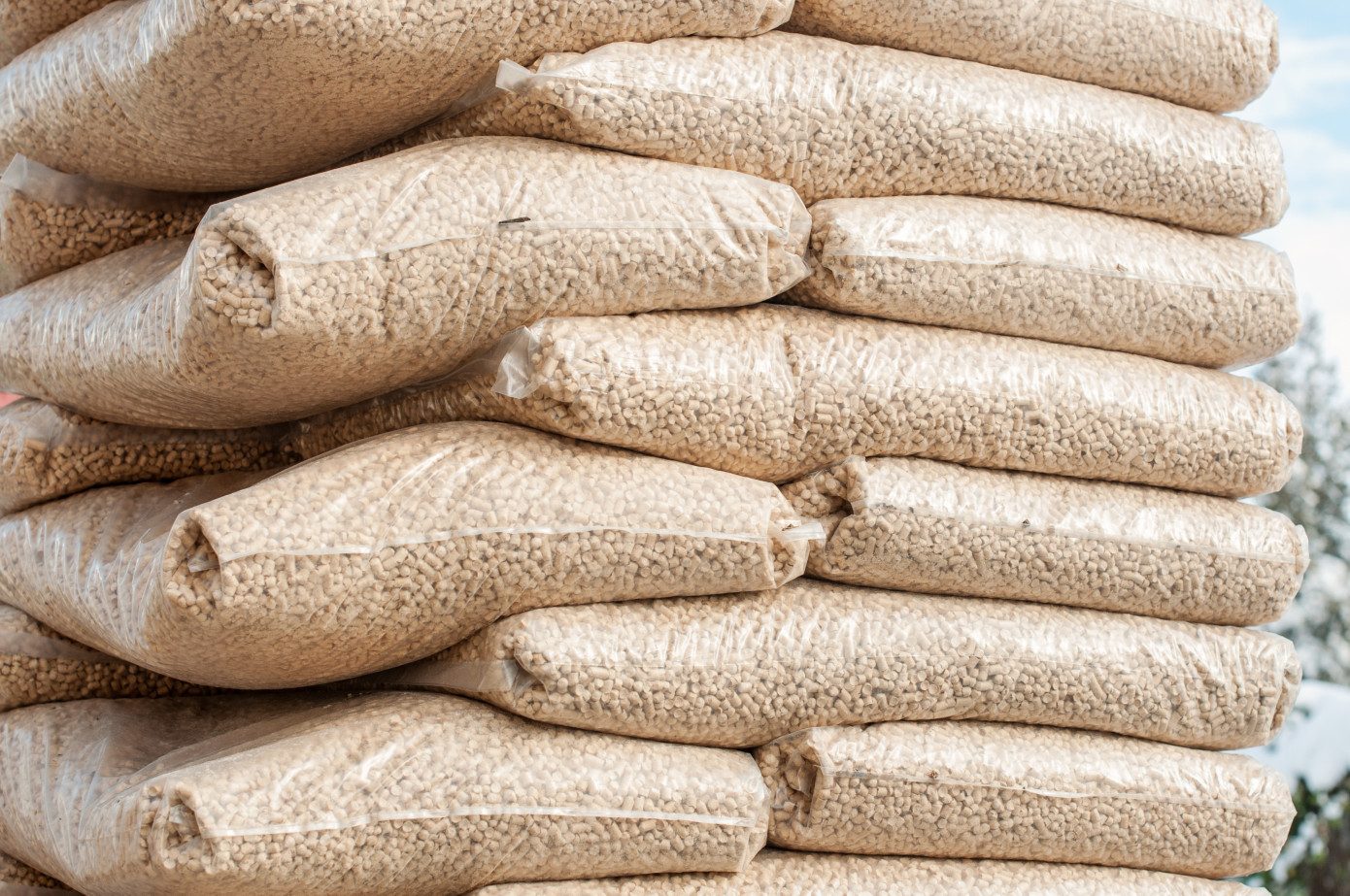 Japan increases imports of wood pellets by 42% in July
