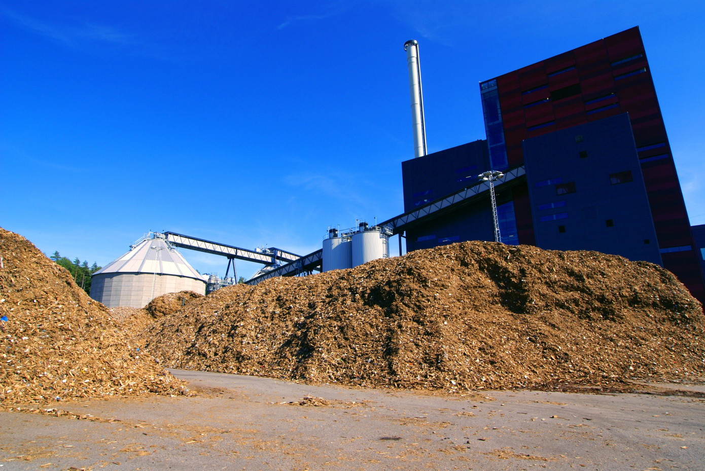 Exports of wood chips from Australia to China contract 13% in March
