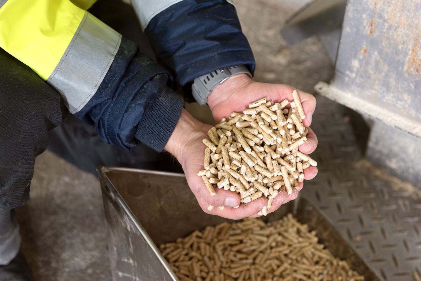 В феврале 2026 г. цена топливных пеллет в Германии выросла на 4,3%