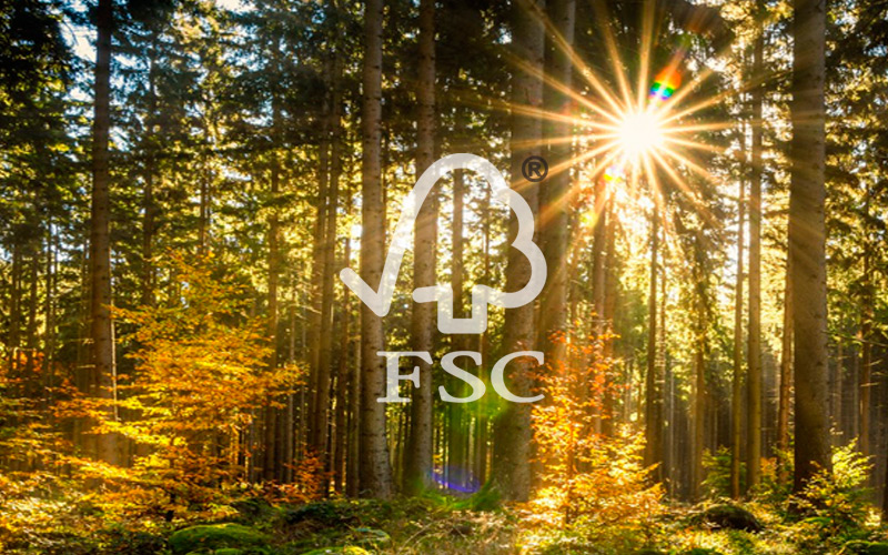 Два предприятия «Объединенных бумажных фабрик» подтвердили сертификаты FSC