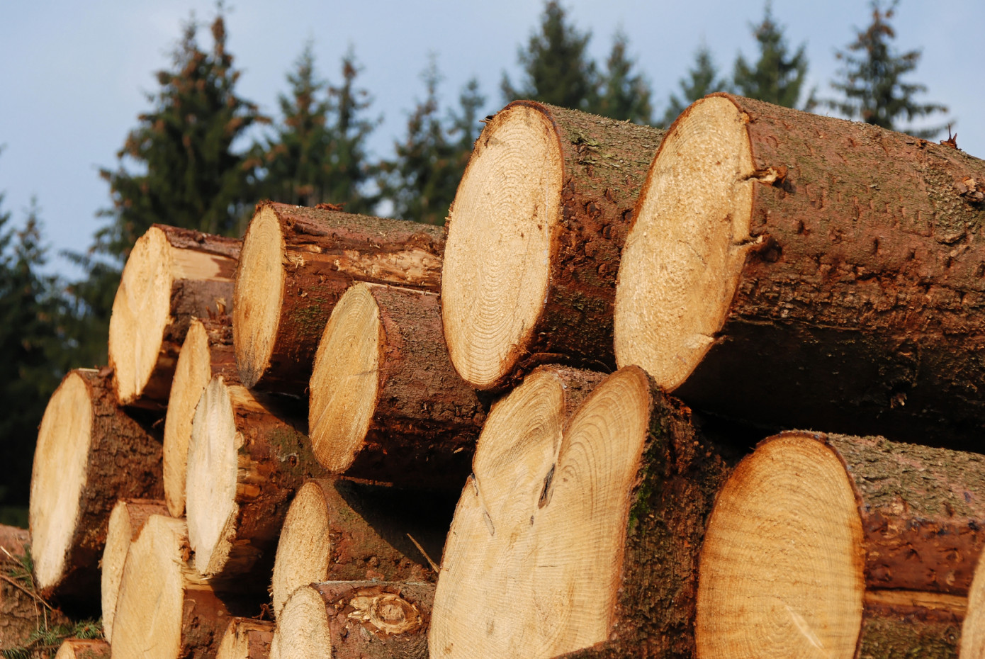 В январе-апреле 2020 г. Финляндия увеличила импорт древесины на 11%