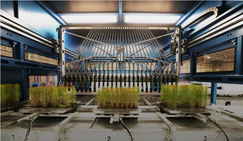 OneFortyOne invests $30 million in biomass power generation project at Jubilee sawmill in Australia