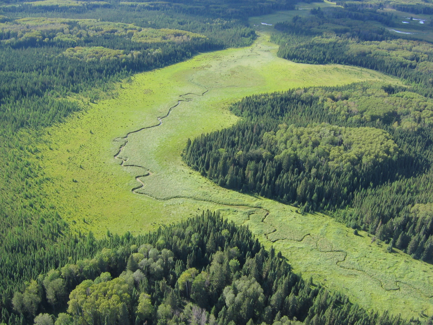 Louisiana-Pacific and DUC sign landmark conservation agreement