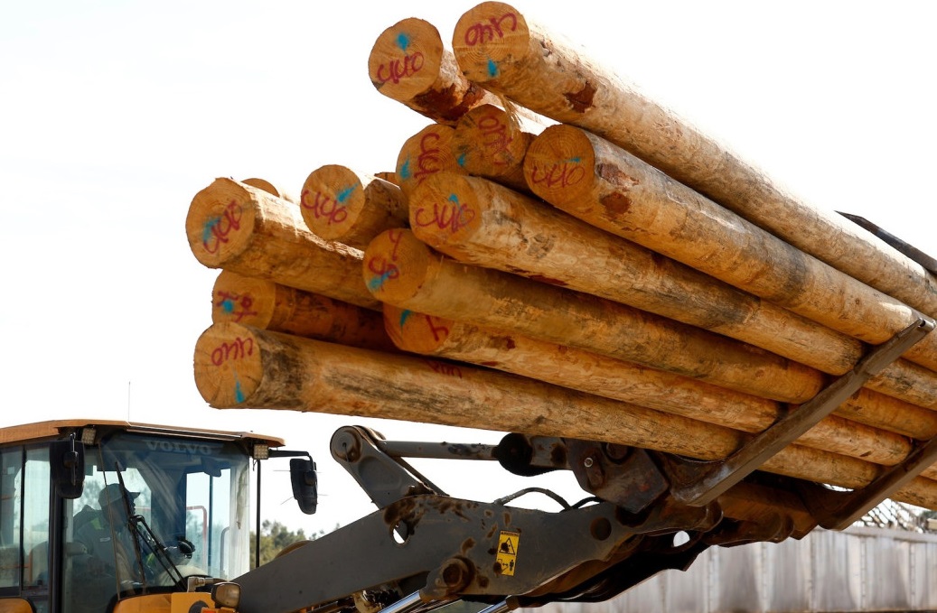 Koppers CFO Jimmi Sue Smith retires as of January 2026