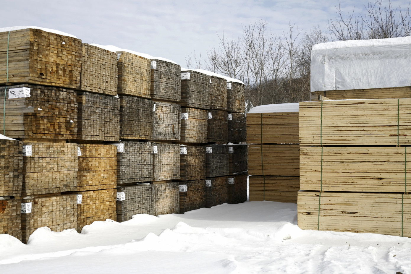 Canadian lumber output slightly declines in November, yet year-on-year growth persists