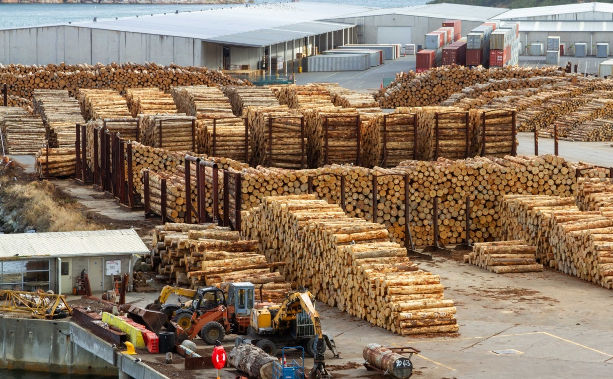 Brazilian exports of wood-based products increased by 16% in February