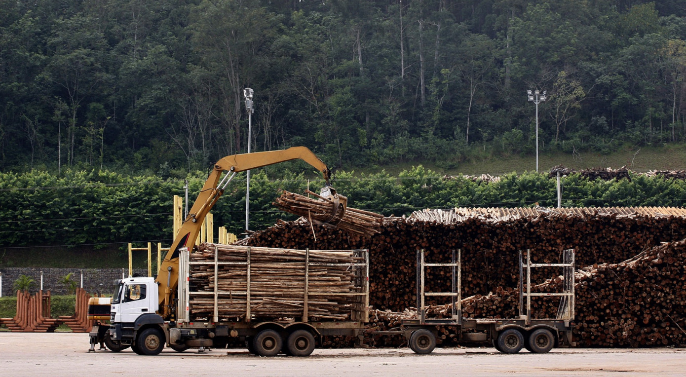 Экспорт круглого леса из Бразилии упал в апреле на 52%