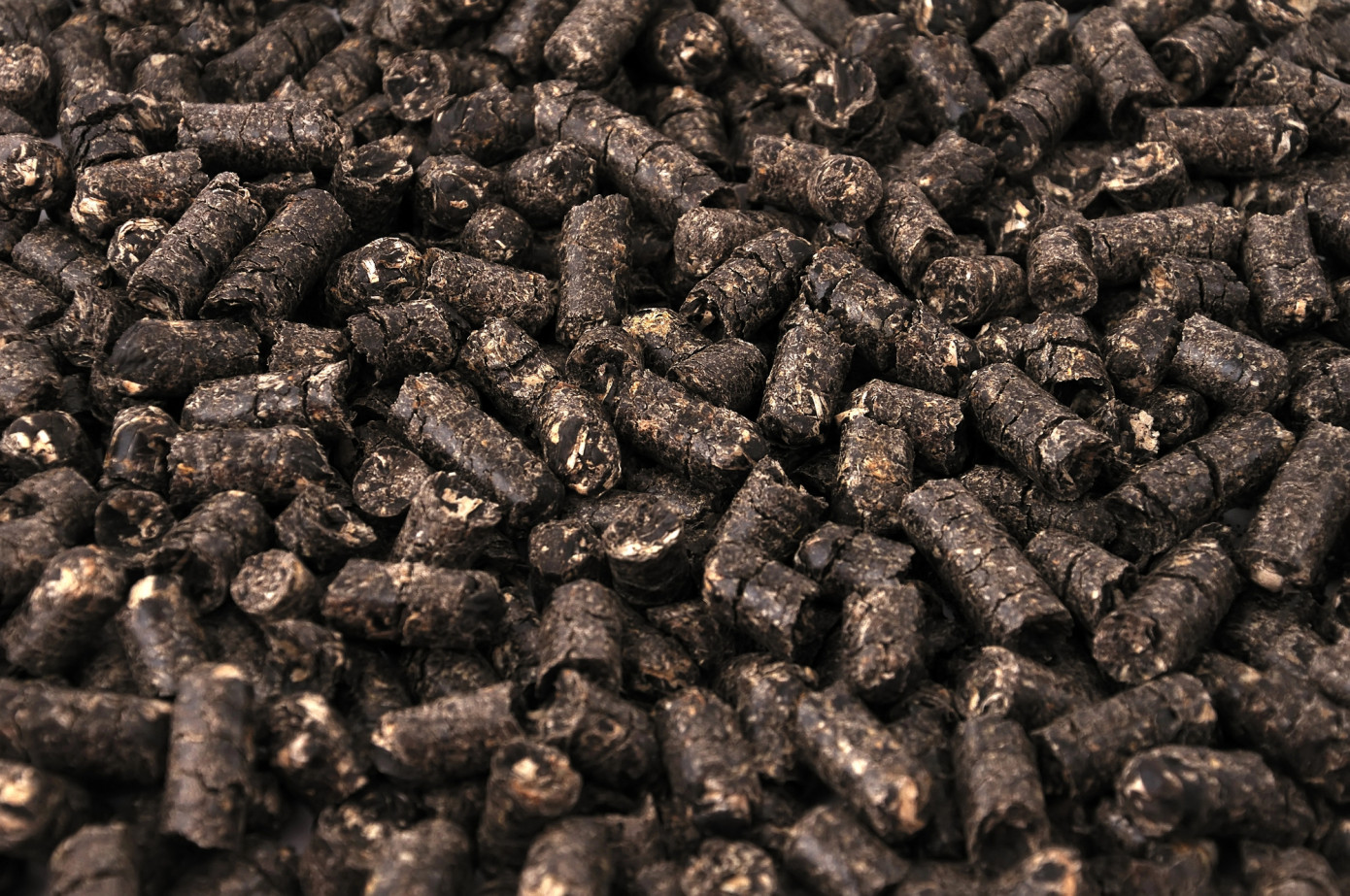South Korea records highest annual wood pellet imports in 2024