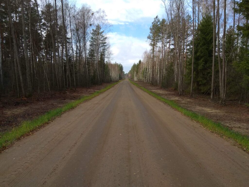В 2021 г. организации Минлесхоза Беларуси построили более 100 км лесохозяйственных дорог