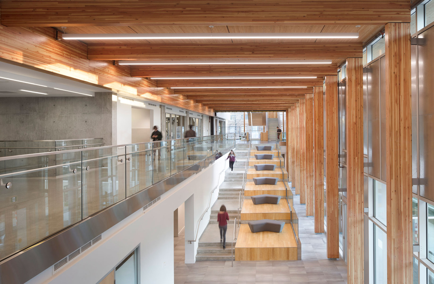 Canadian government invests nearly $3 million to advance sustainable wood technologies in Montreal
