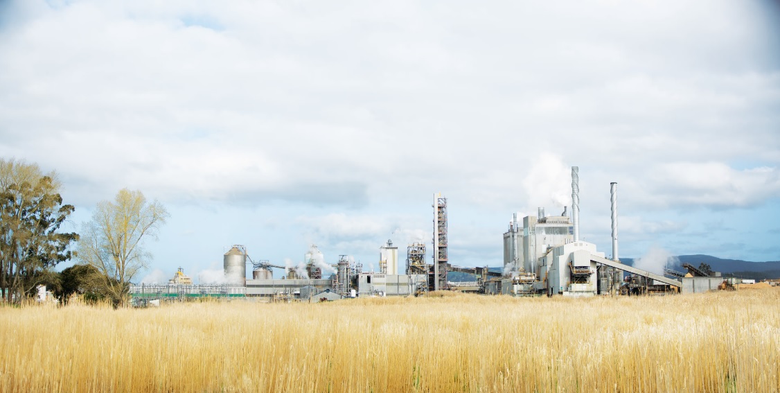 Oji Fibre Solutions to close PM6 at Kinleith Mill in Tokoroa, New Zealand