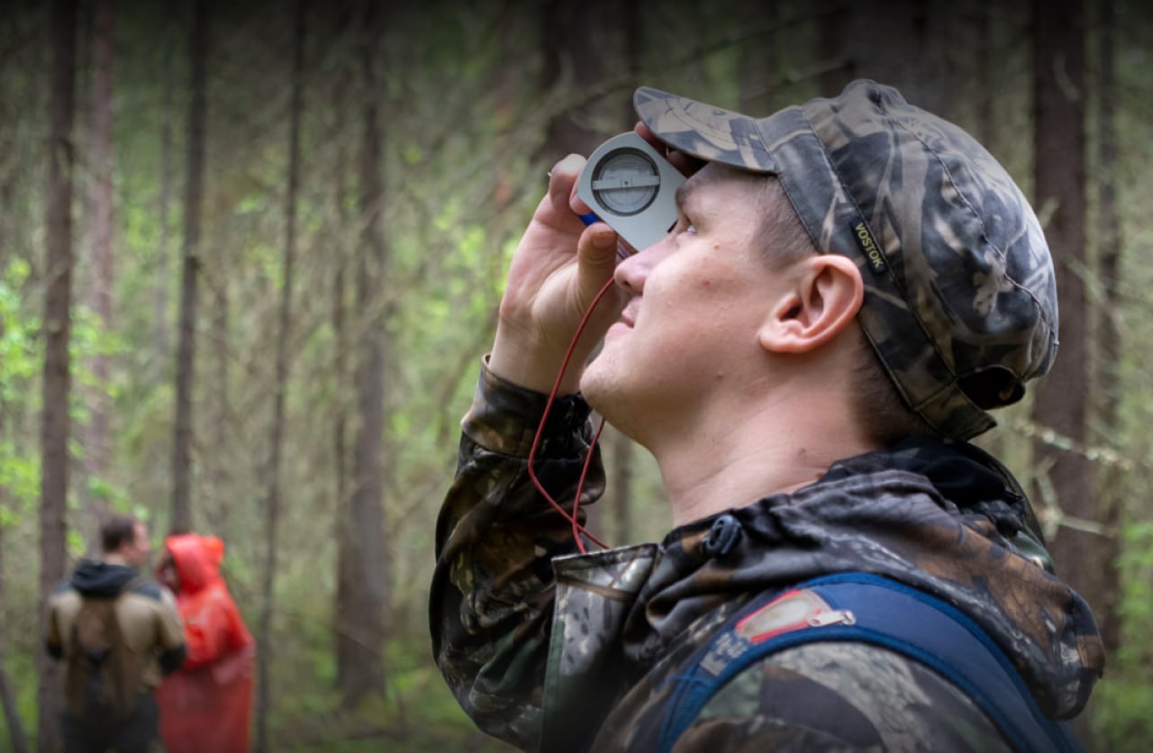 В 2026 г. таксацию лесов в России проведут на площади 24,6 млн га