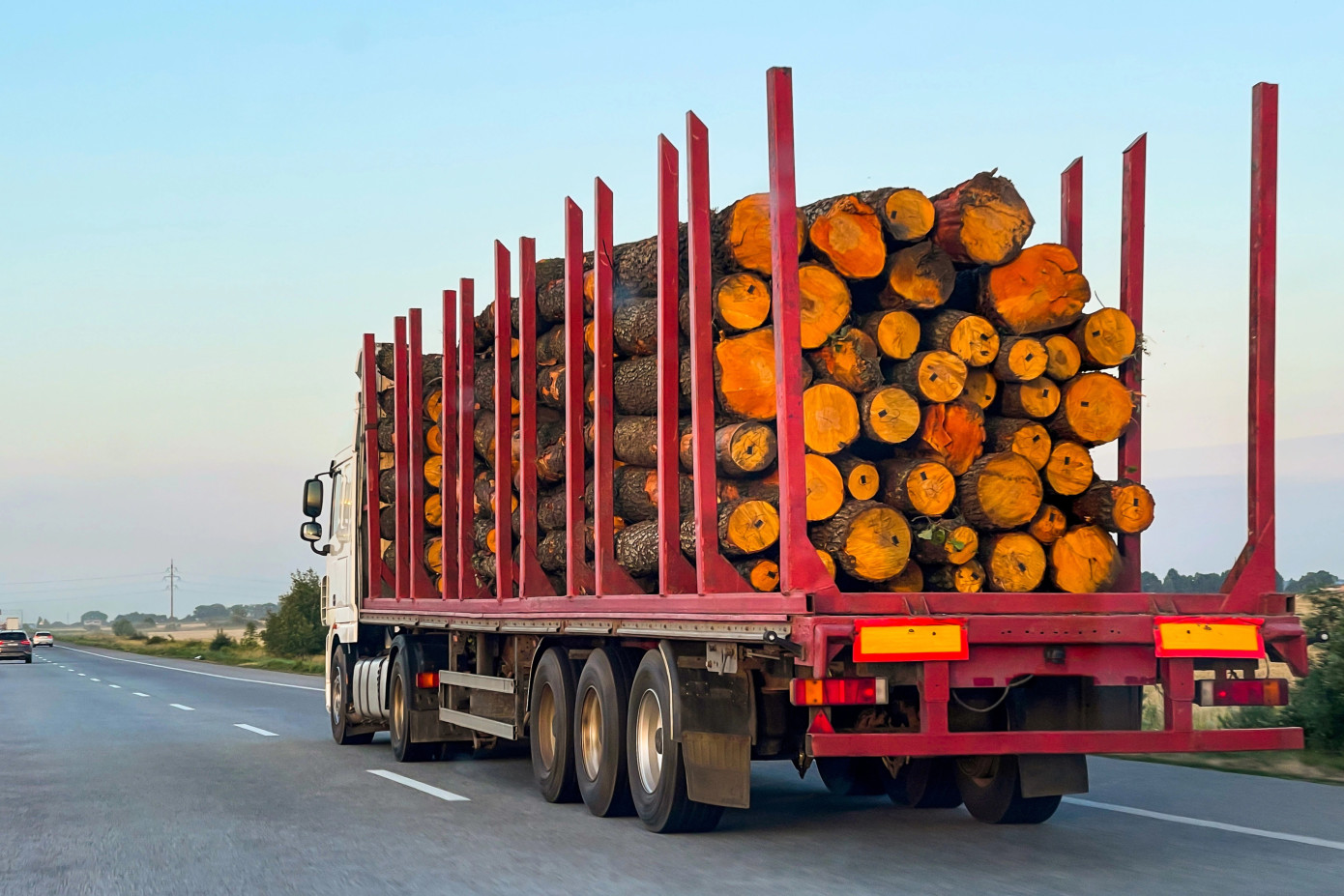 Nearly 6,700 freight carriers in Russia face bankruptcy