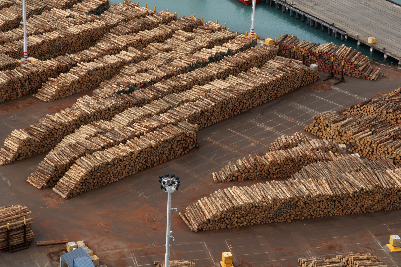 China sees steady log prices as daily demand rises
