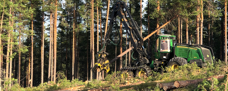 В 2020 г. объем сплошных рубок в Швеции снизится на 3,3%