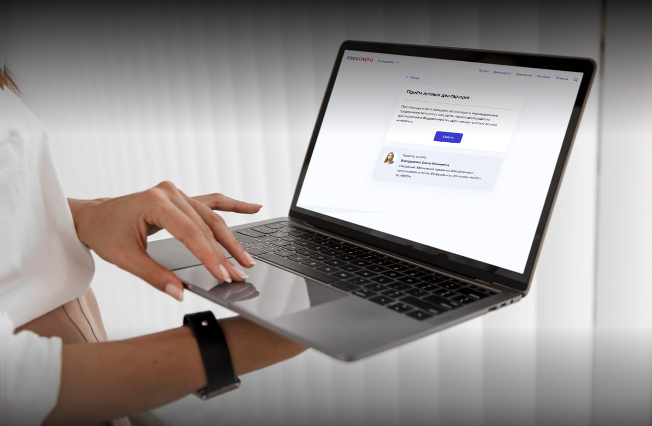 «Рослесхоз»: на ЕПГУ доступны новые формы для лесных госуслуг