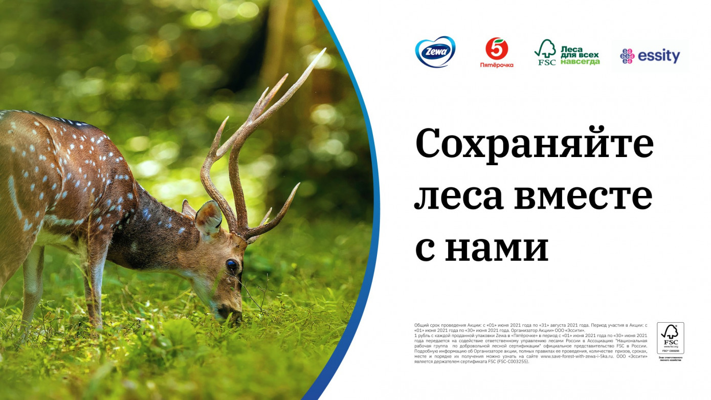 «Пятерочка», Zewa и FSC России начали акцию поддержки российских лесов