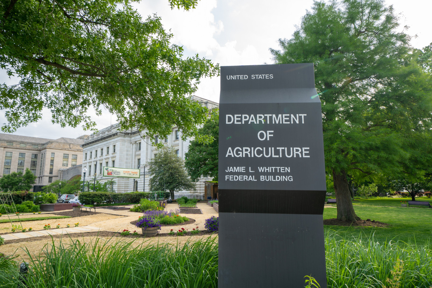 Biden administration invests $43 million to expand innovative uses of wood