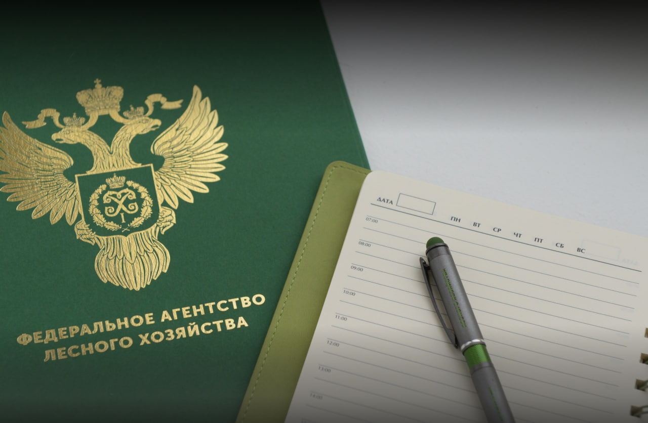 Лесопользователи смогут подавать отчеты об использовании лесов по факту заготовки древесины