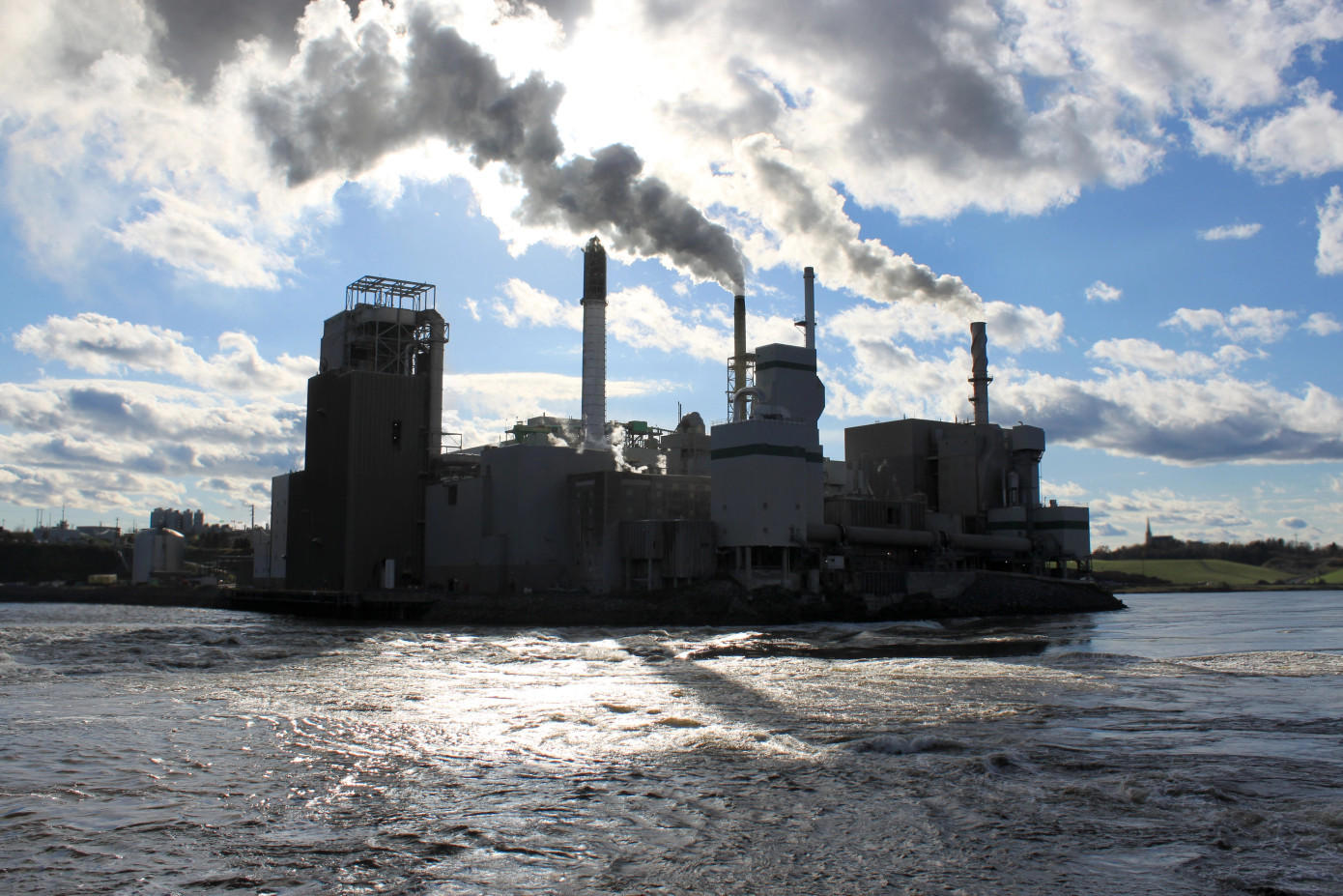 Мировой рынок целлюлозы стагнирует