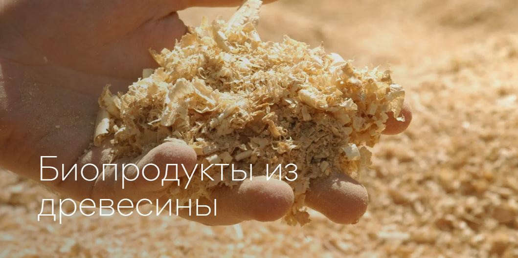 Viru Keemia Grupp планирует организовать лесохимическое производство в Эстонии