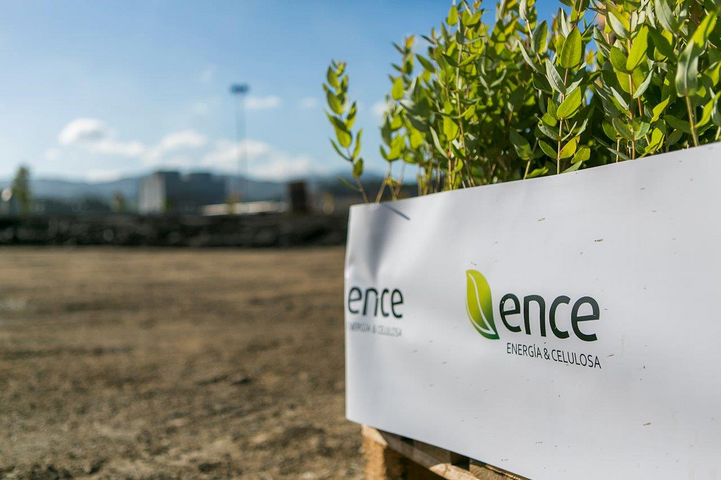 Ence планирует строительство нового завода в Испании