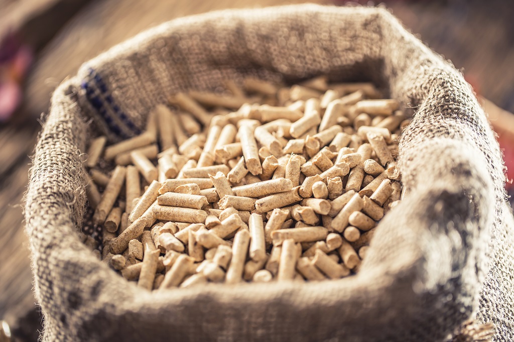 Imports of wood pellets to Poland jump 55% in January