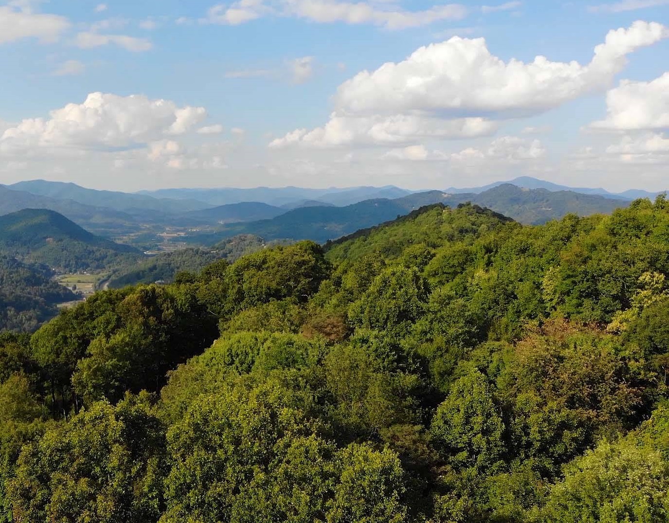 Eastwood Forests acquires 92,200 acres of forestland in New York State