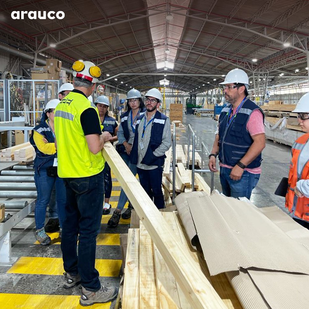 В 1 кв. 2023 г. выручка Arauco снизилась на 18,3%