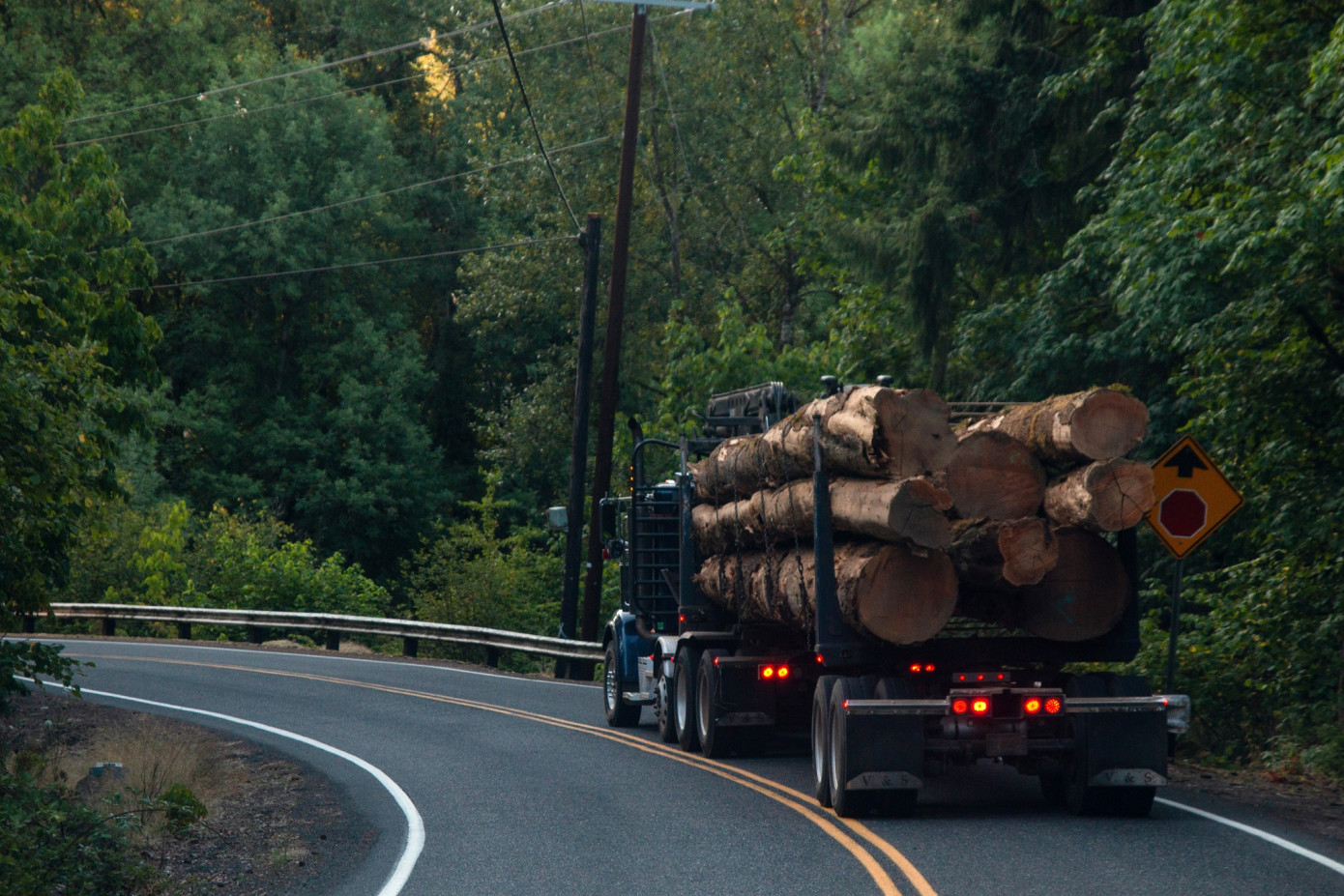 В 1 кв. 2025 г. продажи Weyerhaeuser снизились на 1,8%