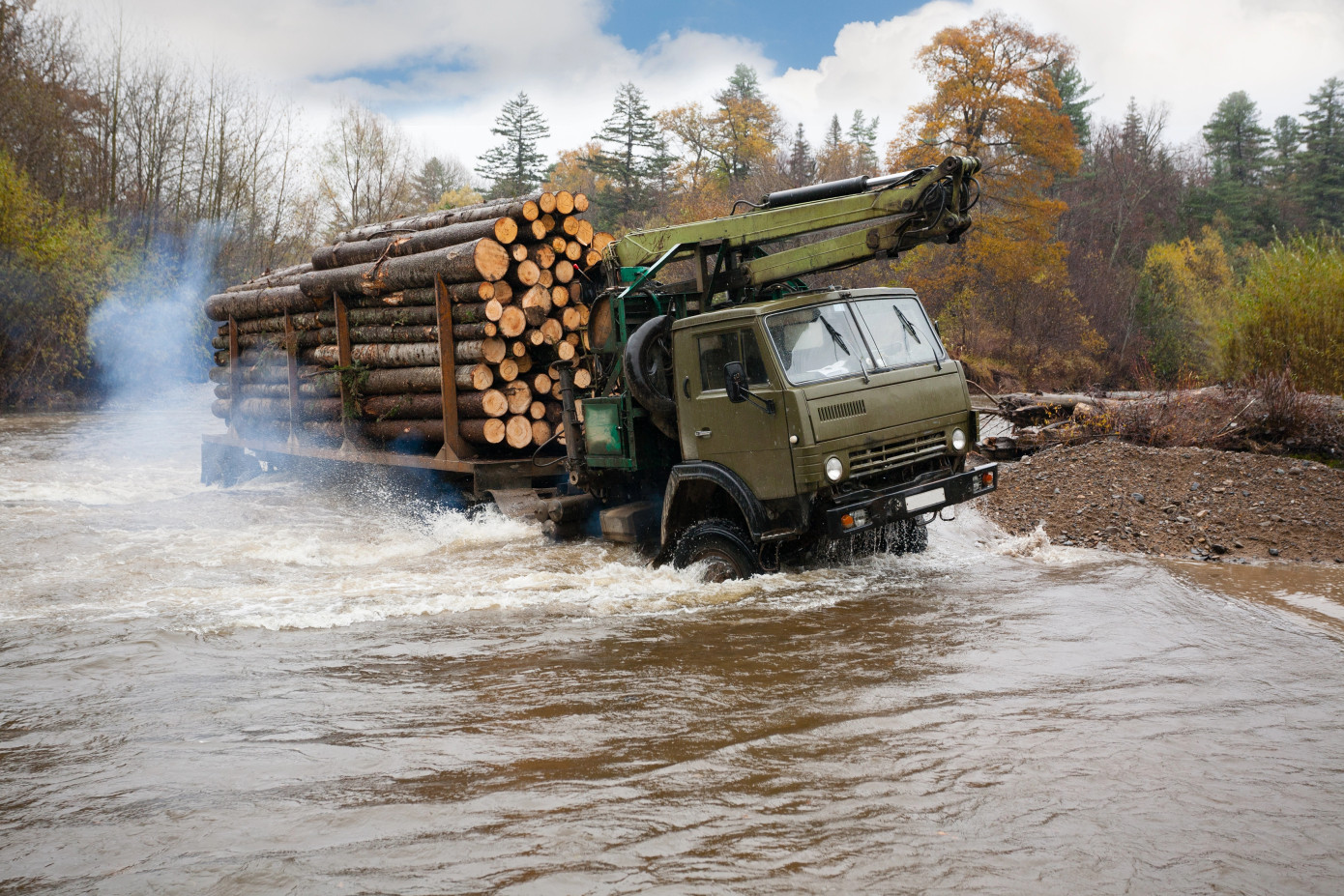 Russian wood panel output rises in 2024 as pulp, lumber stagnate